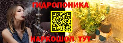 крисы Балахна