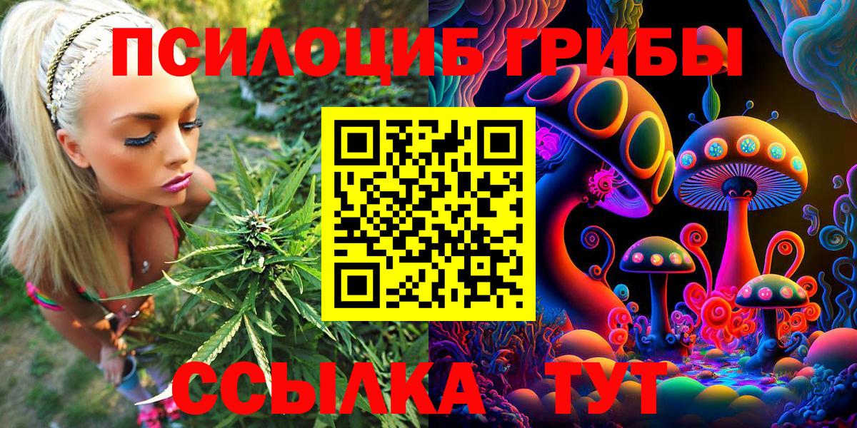 Псилоцибиновые грибы MAGIC MUSHROOMS  Вход с VPN  Елец 